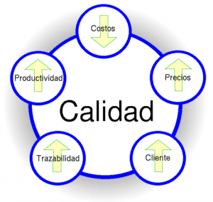 modeloCalidad_1